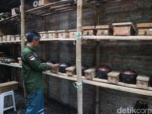 Budidaya Lebah Klanceng, Pria Jepara Cuan Jutaan Rupiah Tiap Bulan