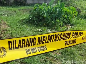 Warga Rajang Lebong Bengkulu Temukan Tulang Manusia di Perkebunan