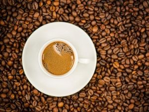 Sudah Terlanjur Konsumsi Kopi Ber-Viagra, Apa yang Harus Dilakukan?