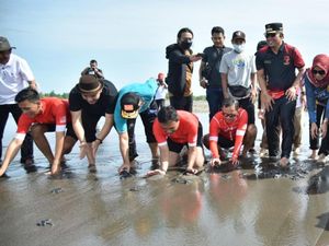 Isi Liburan, Bupati Kebumen Ajak Fadly Padi Lepas Tukik di Pantai Selatan