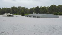 Sebuah bangunan terendam banjir di dekat Windsor yang berada di pinggiran Sydney, Australia, Kamis (3/3/2022). AP Photo/Rick Rycroft.