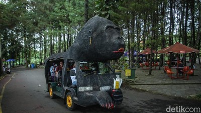 Potret Wisata Puncak yang Kerap Didatangi Wisatawan Meski Macet-macetan