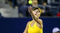 Melansir AFP, Kamis, (3/3/2022), sehari sebelum pertandingan, Svitolina mengancam tidak akan bermain melawan petenis dari Rusia atau Belarusia, kecuali mereka dalam bendera netral, sebagai protes terhadap invasi Rusia ke tanah airnya.
