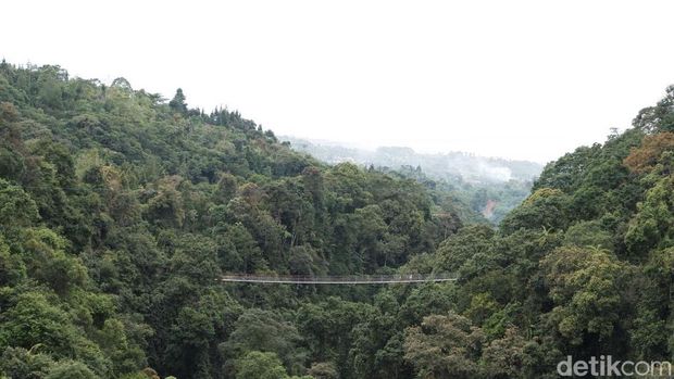 Situ Gunung Sukabumi miliki jembatan terpanjang se-Asia
