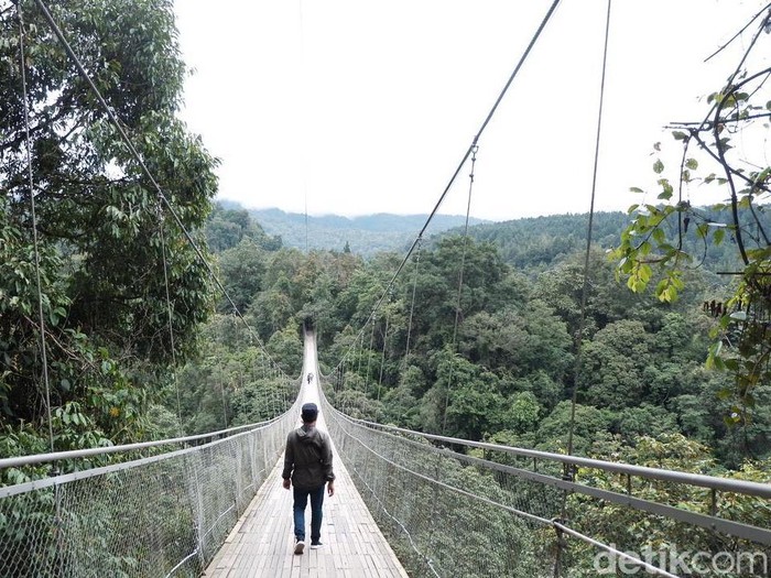 Situ Gunung Sukabumi miliki jembatan terpanjang se-Asia