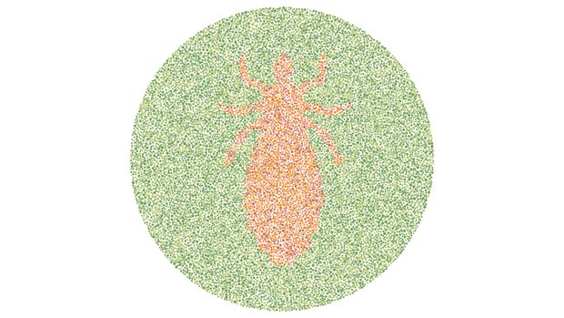 Tes buta warna Tes buta warna