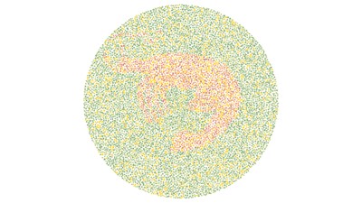 Tes Lihat Warna, Tebak Siluet Hewan dan Buktikan Kamu Nggak Buta Warna