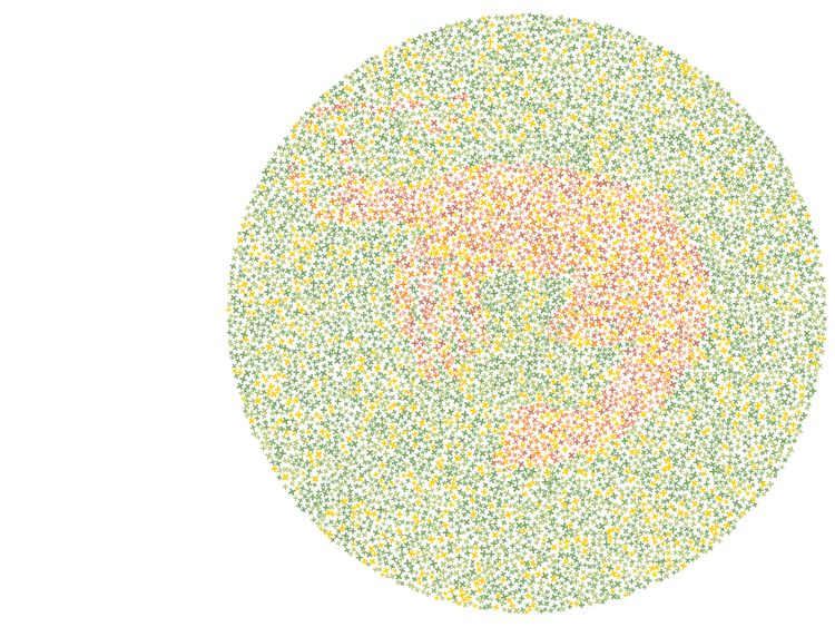 Tes Lihat Warna, Tebak Siluet Hewan dan Buktikan Kamu Nggak Buta Warna