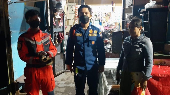 Tim Rescue Damkar Makassar berhasil mengevakuasi ular sanca di rumah warga.