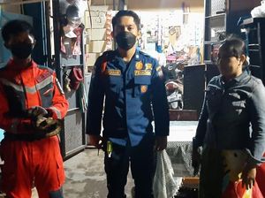 Geger Ular Sanca Batik 1 Meter Muncul di Atap Rumah Warga Makassar