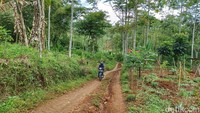 Tidak hanya itu jalan menuju perbatasan Desa Arjasari sebanyak 200 meter pun belum dilakukan pembangunan.