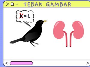 Kata-kata Apa yang Bisa Disusun dari Gambar Ini? Tebak Pakai Imajinasi Kamu