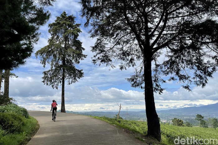 Gowes Syahdu ke Wayang Windu, Bandung Pesepeda uphill, terutama para nubie di Jakarta atau Bandung, menempatkan Wayang Windu di prioritas pertama. Selain karena tanjakan panjang yang bersahabat, juga karena pemandangannya yang spektakuler. Cocok untuk olahraga sembari piknik mata. Healing