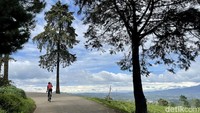 Salah satu segmen menuju Wayang Windu, Panenjoan, Pangalengan. Tanjakan tipis kebun teh sepanjang 6,5 km dengan gradient 5 hingga 7 persen, menjadikan rute ini sangat cocok buat para pemula atau enthusiast yang hendak recovery ride.