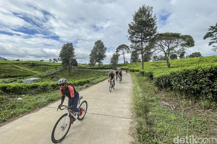 Pesepeda uphill, terutama para nubie di Jakarta atau Bandung, menempatkan Wayang Windu di prioritas pertama. Selain karena tanjakan panjang yang bersahabat, juga karena pemandangannya yang spektakuler. Cocok untuk olahraga sembari piknik mata. Healing
