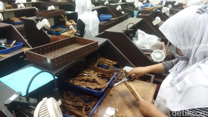 Ini Dia Cerutu Made In Jember yang Mendunia Kualitas cerutu Jember memang sudah tidak diragukan lagi. Bahkan tidak kalah dari cerutu buatan luar negeri. Seperti cerutu Kuba atau AS lho.