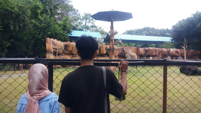 Kebun Binatang Surabaya