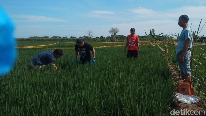 Lokasi penemuan mayat wanita dengan payudara dan alat kelamin terpotong di Kabupaten Tegal, Kamis (3/3/2022).