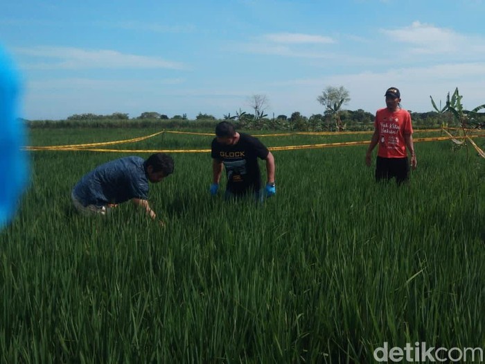 Lokasi penemuan mayat wanita dengan payudara dan alat kelamin terpotong di Kabupaten Tegal, Kamis (3/3/2022).