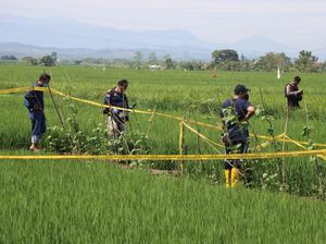 Mulai Terkuaknya Misteri Mayat Wanita dengan Payudara-Kemaluan Terpotong