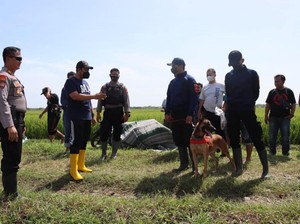 Kronologi Penemuan Mayat Wanita dengan Payudara-Kemaluan Terpotong Tegal