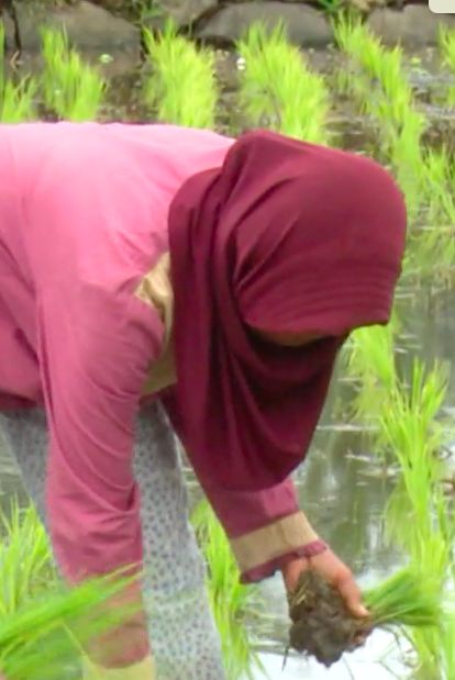 Mak Enih