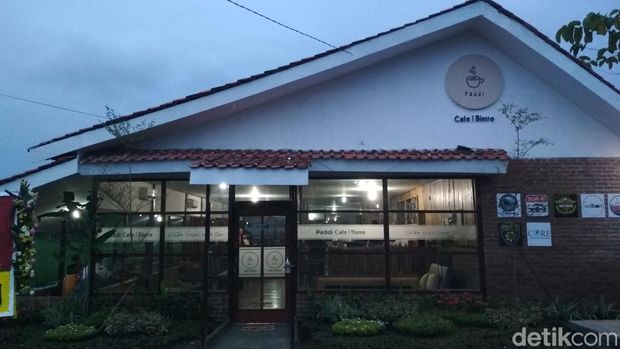 Paddi Cafe Bistro.
