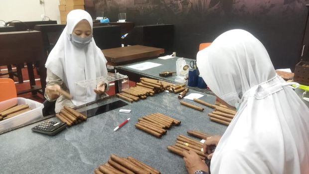 pembuatan cerutu jember hingga punya kualitas diakui di dunia