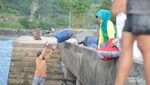 Pelelangan Ikan Pancer Banyuwangi, Cocok Buat Dikunjungi Weekend Ini