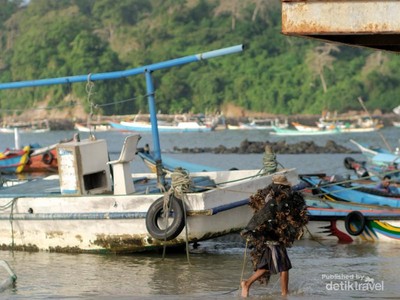 Pelelangan Ikan Pancer Banyuwangi, Cocok Buat Dikunjungi Weekend Ini