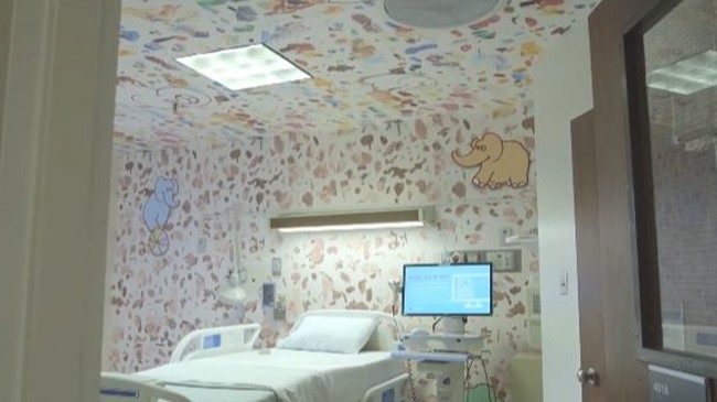 Kalau yang satu ini adalah ruang perawatan untuk cek kandungan di RS Cedars Sinai. Ruang perawatan tersebut terlihat nyaman dengan dihiasi wallpaper bergambar aneka hewan. Foto: YouTube/Cedars-Sinai