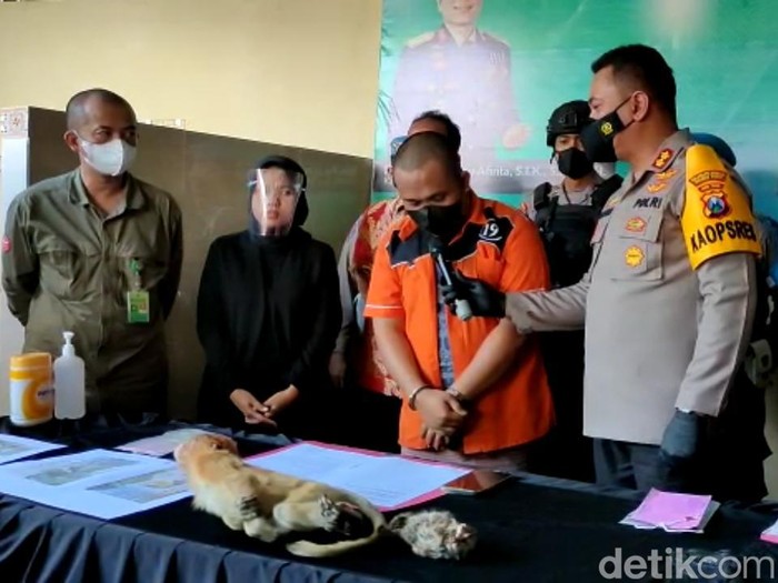 tersangka penyelundupan satwa dilindungi dari Banjarmasin
