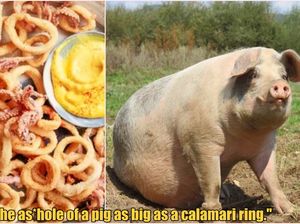 Viral Hoax Cumi Calamari Terbuat dari Dubur Babi, Ini Isi Pesannya
