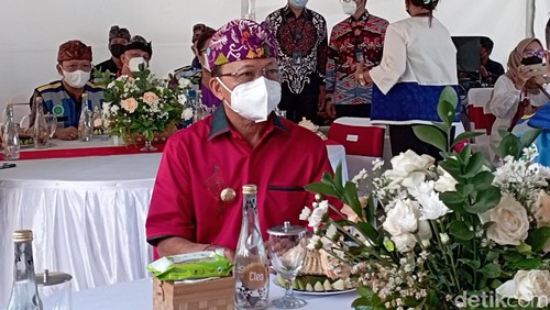 Gubernur Bali Wayan Koster