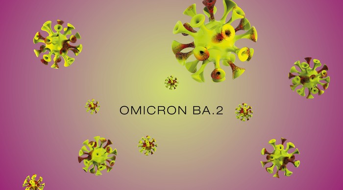 Omicron BA.2 Virus mutation