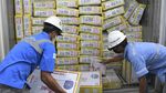 Daging Kerbau India Mulai Masuk RI