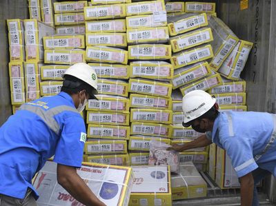 Daging Kerbau India Mulai Masuk RI