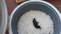Menunggu nasi matang seringkali membuat tak sabar. Setelah matang nasinya, netizen ini dikejutkan dengan cecurut yang ikut matang di dalam magicom. Foto: Instagram/humorsantuy