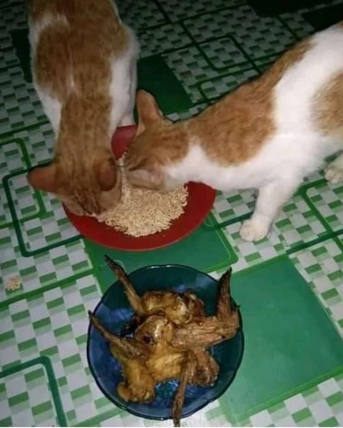 Nyesek! 10 Tragedi Ini Bikin Jadi Tak Nafsu Makan