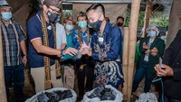 Di sana terdapat budidaya buah nanas. Desa Cisaat juga mengutamakan prinsip keberlanjutan dengan memproduksi arang dari kayu mahoni yang sudah diekspor. Foto: Kemenparekraf