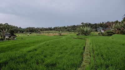 Potret Desa Cisaat Subang yang Bikin Sandiaga Kepincut
