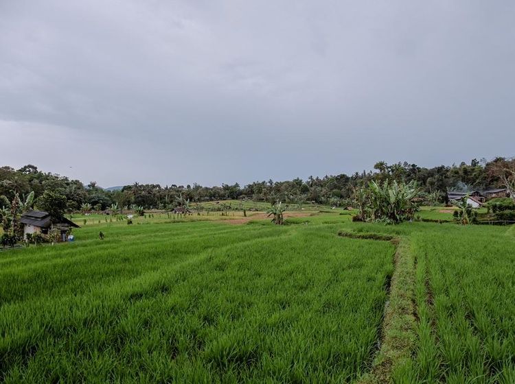 Potret Desa Cisaat Subang yang Bikin Sandiaga Kepincut