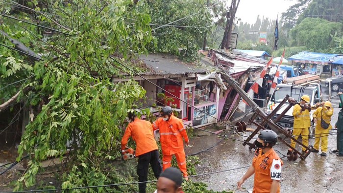 Pohon tumbang dan tiang listrik patah di Bogor