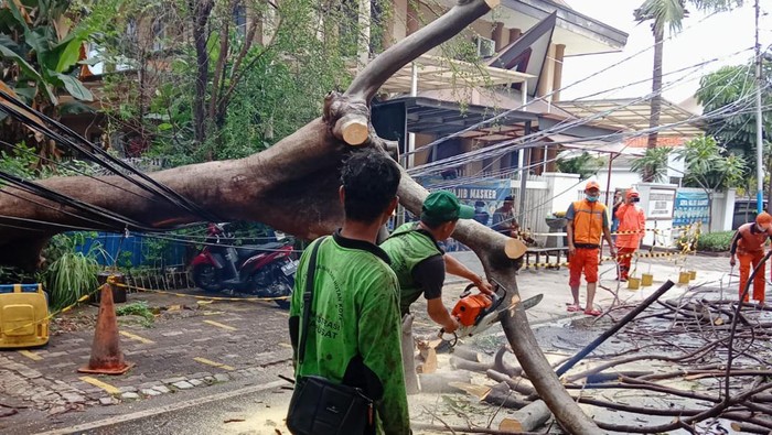 Pohon tumbang di Jakarta Pusat