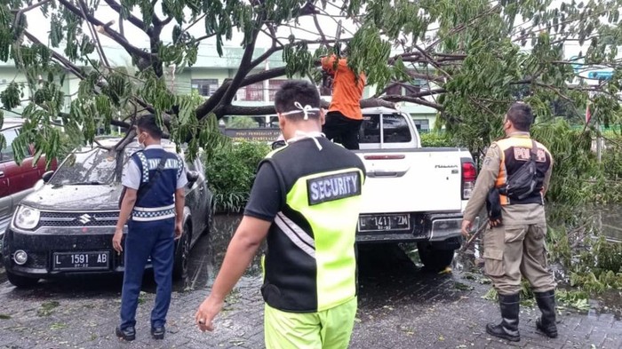 Pohon Tumbang Menimpa Mobil Saat Hujan di Surabaya