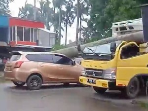 Mobil Boks di Pamulang Tertimpa Pohon Akibat Angin Kencang, Sopir Luka
