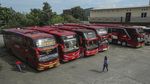 Kenalan dengan Sopir Bus Wanita PO Agra Mas: Liena Ozora
