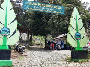 Sabana Merbabu Mulai Mengering, Pendaki Dilarang Bikin Api Unggun