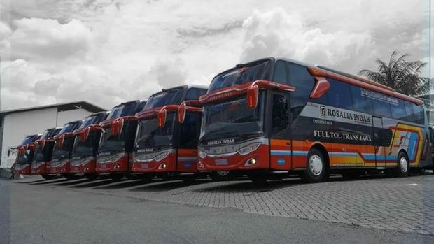 PO Rosalia Indah kerap merilis bus single decker dengan livery dan grafis ala bus double decker Foto: Instagram @adiputro_official