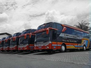 PO Rosalia Indah Rilis Bus Baru, Livery-nya Bikin Gagal Fokus Nih!